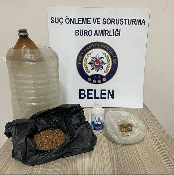 Belen’de Uyuşturucu Operasyonu: 81 Kök Hint Keneviri Ele Geçirildi