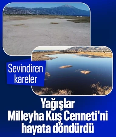 Hatay'da Milleyha Kuş Cenneti yağışlarla yeniden doldu