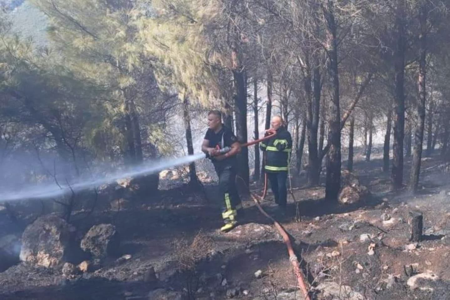 Antakya Mansurlu'da ormanlık alanda çıkan yangın söndürüldü.