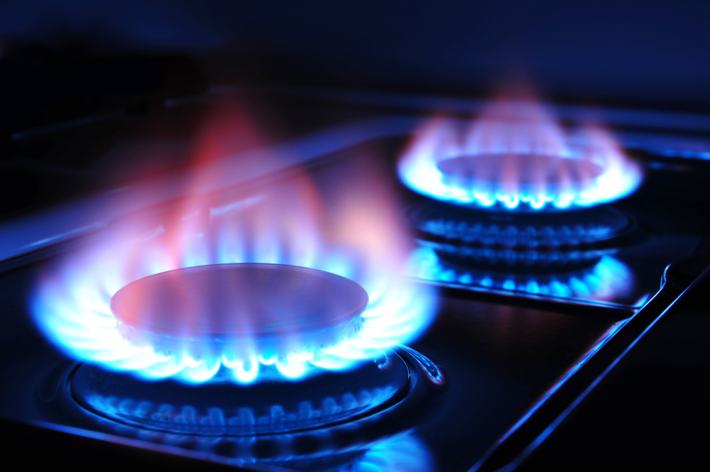 Başkan Gül'den Doğalgaz Müjdesi.